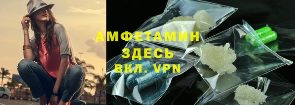 крисы Алексин