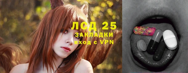 крисы Алексин