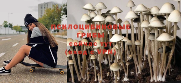 винт Алзамай