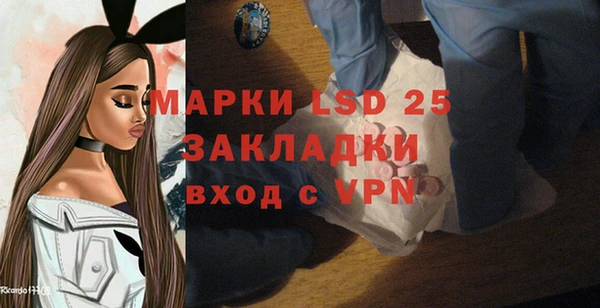 винт Алзамай