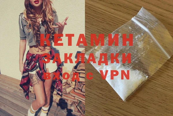 крисы Алексин