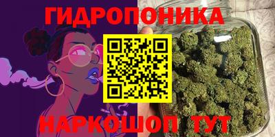 гидра Кулебаки