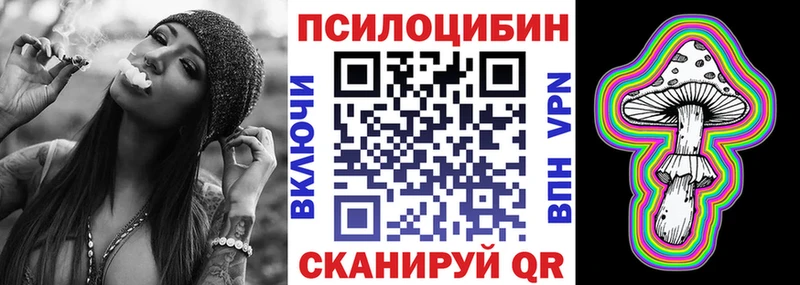 Псилоцибиновые грибы Psilocybine cubensis  Нарьян-Мар 
